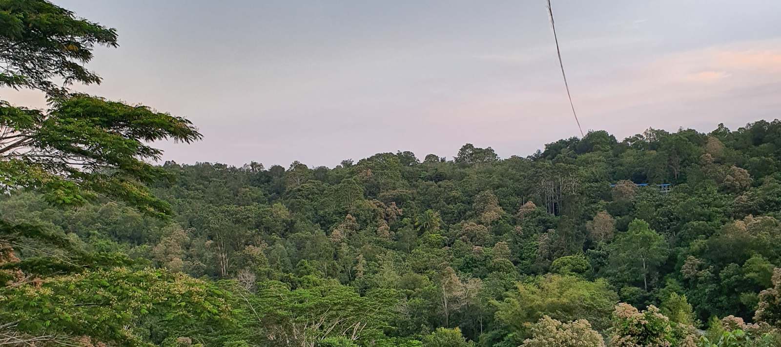 1 Klick fürs Klima - Schützen Sie mit uns den Regenwald