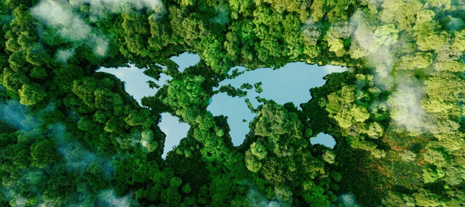 Nachhaltigkeit bei MAWA