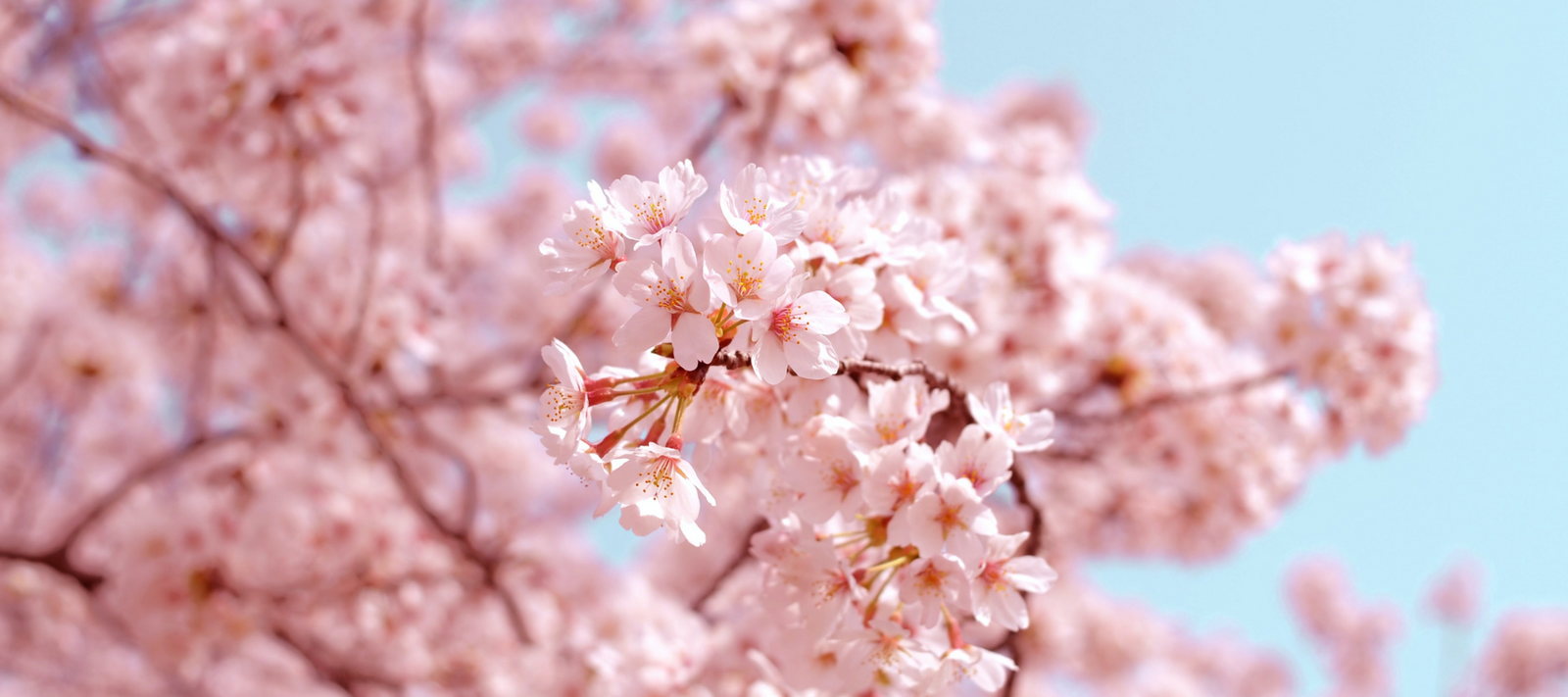 Bereit für den Frühling?