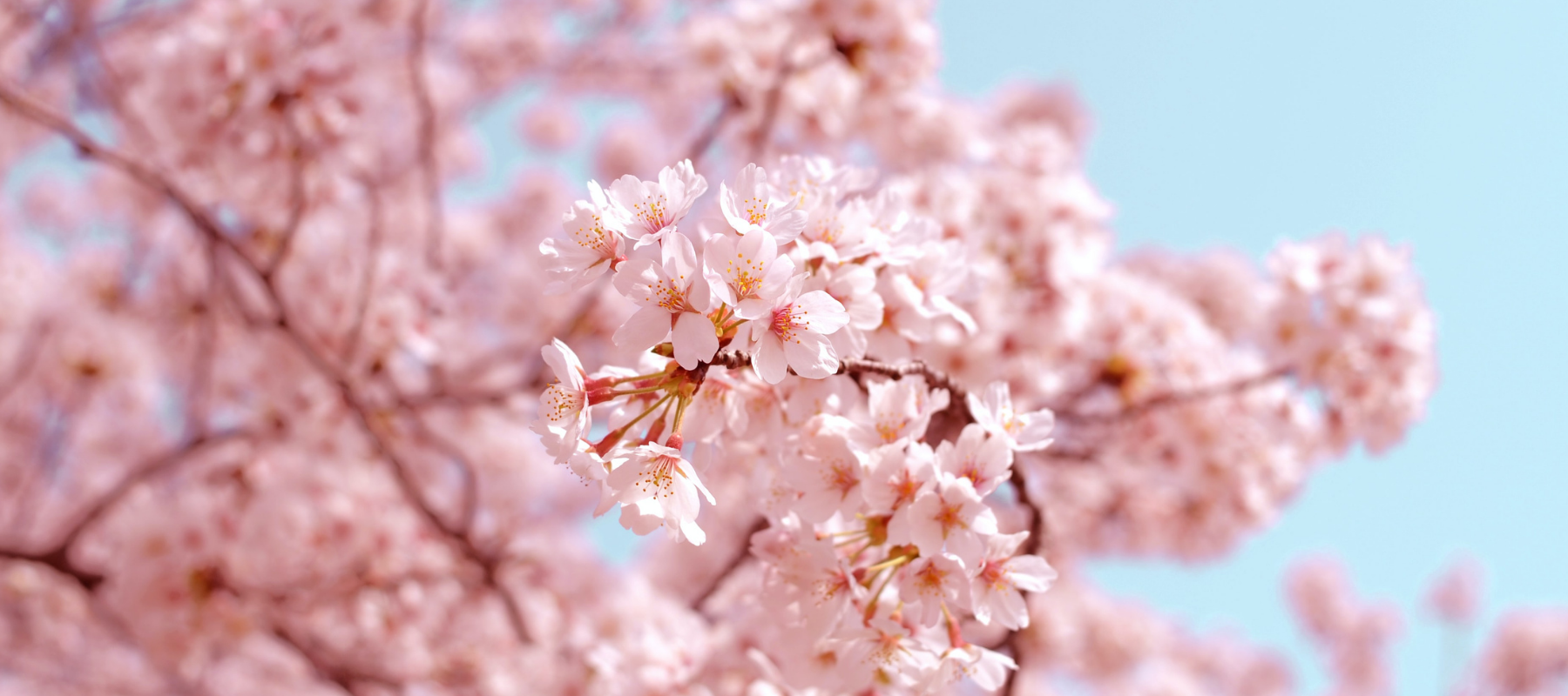 Bereit für den Frühling?